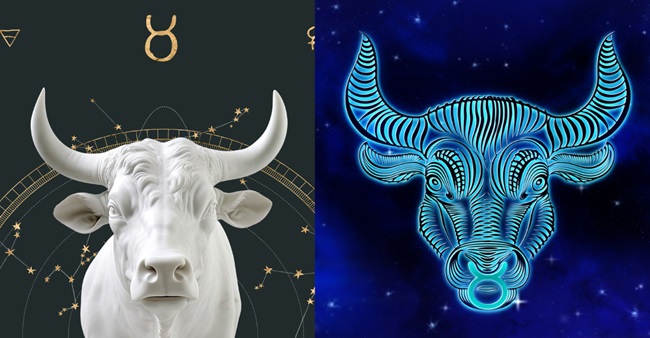 Taurus Weekly Horoscope
